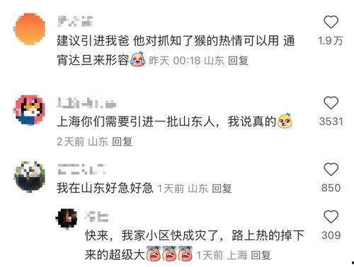 91精产永久在线观看,揭秘热门视频平台背后的精彩内容